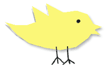 Small little bird